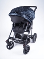 Modi Buggy 